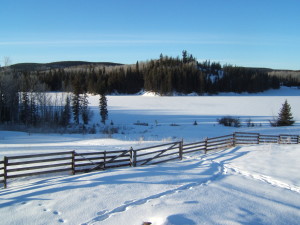 bridge lake winter